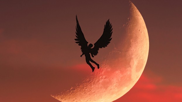 Wallpaper Atmosphere, Moon, Beak, Bird, Art, Background - Download Free