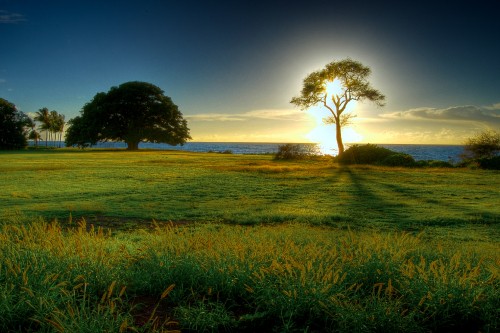 Image green grass field near body of water during daytime