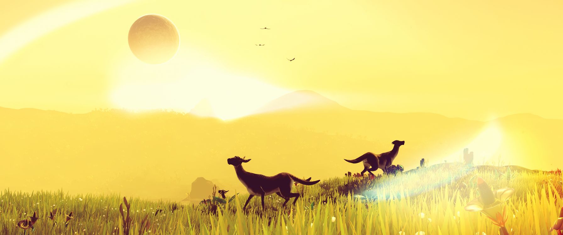 Lara-Strand, No Mans Sky, Ökoregion, Natur, Menschen in Der Natur. Wallpaper in 5120x2143 Resolution