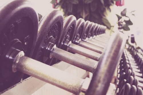 Image black and gray dumbbells on rack