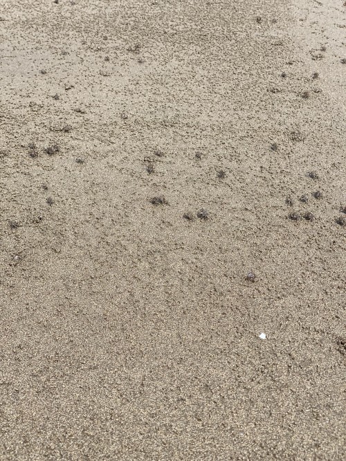 Image soil, road surface, sand, asphalt, grey