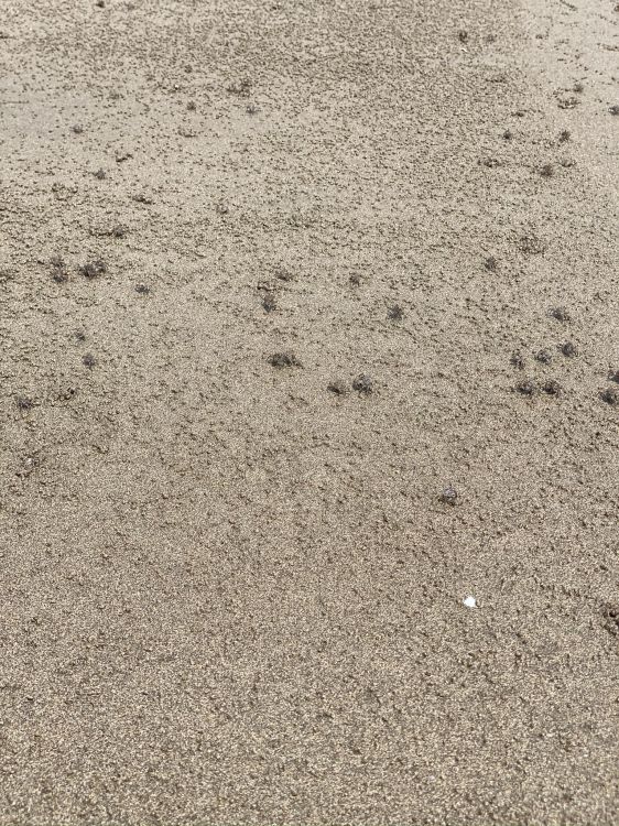 soil, road surface, sand, asphalt, grey