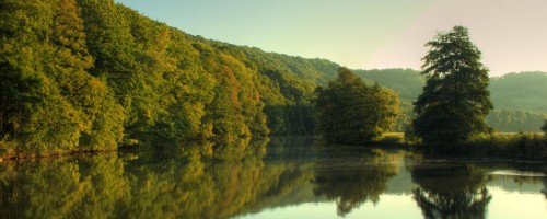 Image green trees beside body of water during daytime