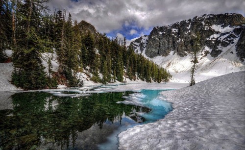 Image green pine trees near snow covered mountain during daytime