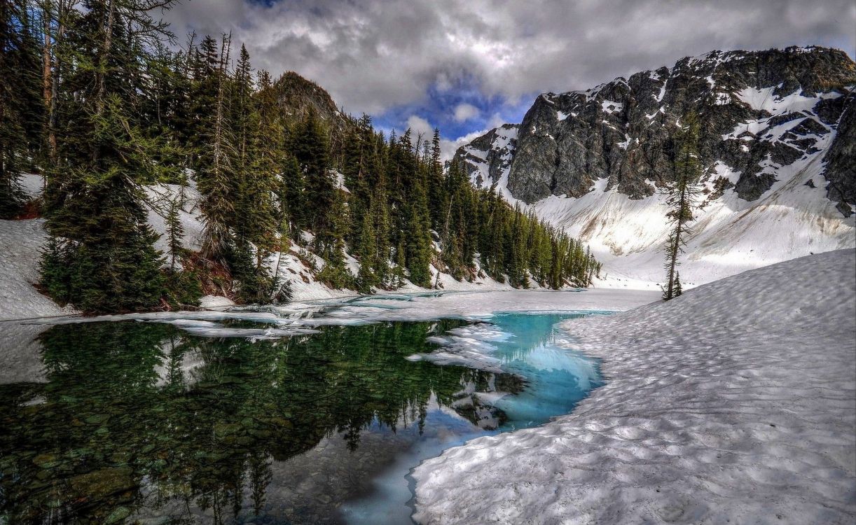 green pine trees near snow covered mountain during daytime