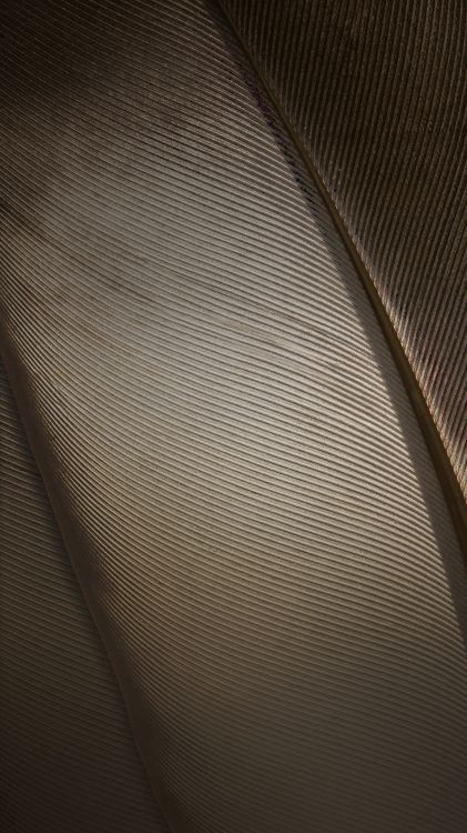 ZTE, ZTE Nubia Z11, Lumière, Nubia Z11, La Nubie. Wallpaper in 1080x1920 Resolution