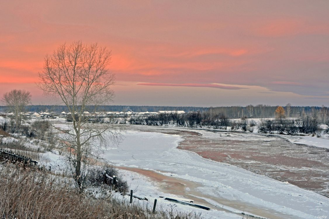 Kahler Baum Auf Schneebedecktem Boden Tagsüber. Wallpaper in 3405x2267 Resolution