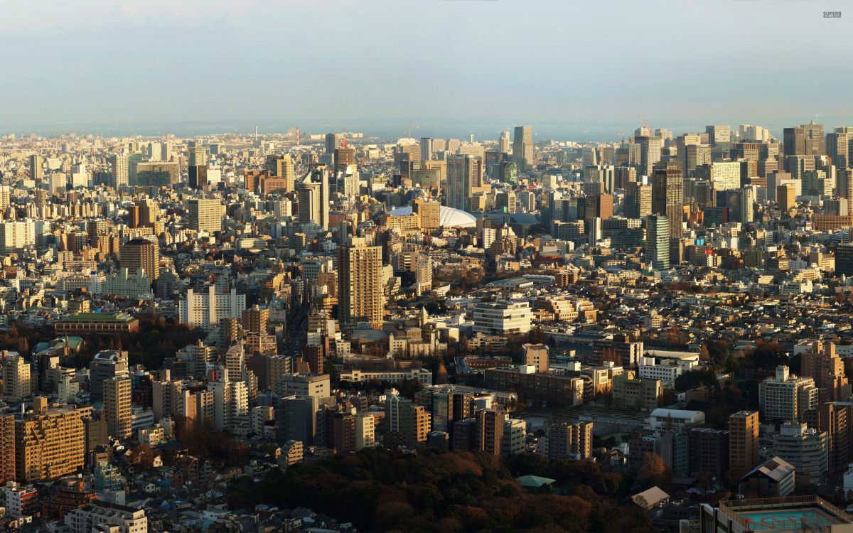 aerial view of city buildings during daytime