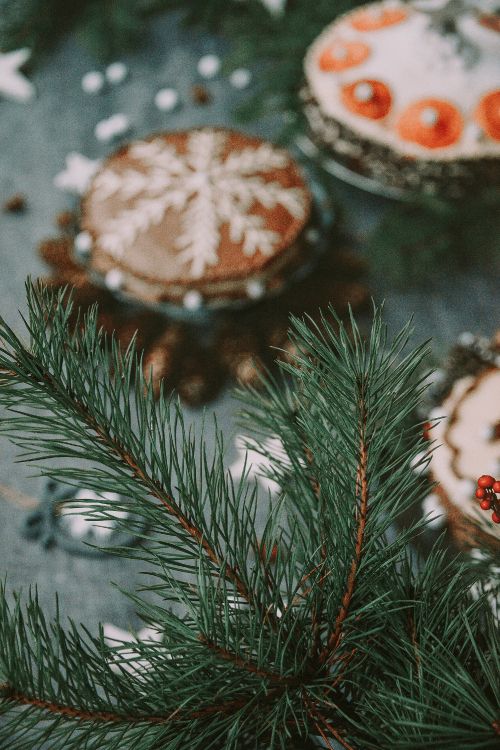 Sapin, Plantes Ligneuses, Spruce, Pin, Famille Des Pins. Wallpaper in 2000x2997 Resolution