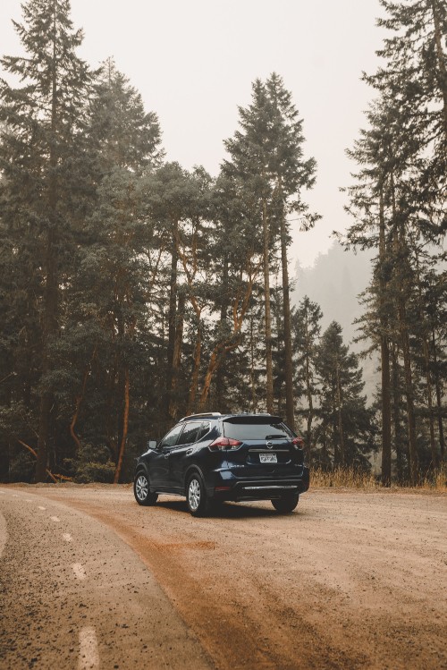 Image black car on dirt road near trees during daytime