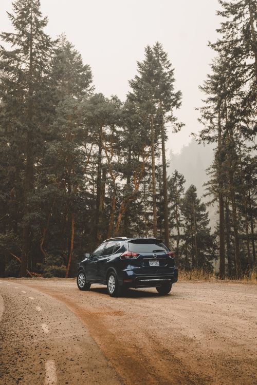 Black Car on Dirt Road Near Trees During Daytime. Wallpaper in 2002x3000 Resolution