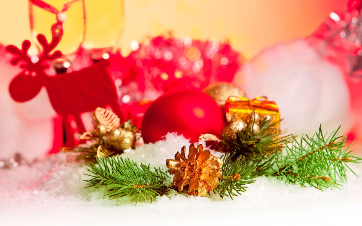 Weihnachten, Neujahr, Weihnachtsdekoration, Christmas Ornament, Fir. Wallpaper in 2560x1600 Resolution