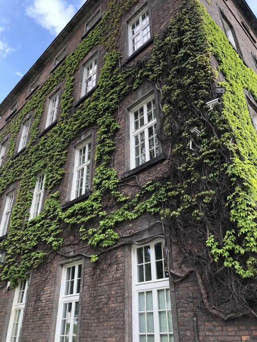 Image house, real estate, medieval architecture, condominium, window