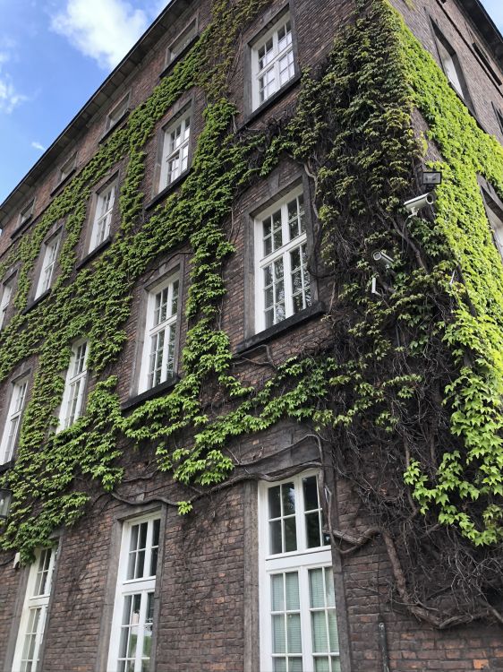 house, real estate, medieval architecture, condominium, window