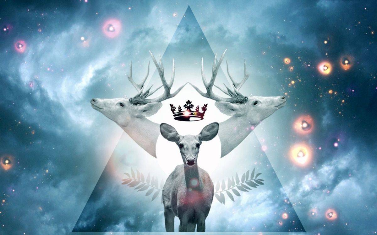 Dos Delfines Grises en el Agua. Wallpaper in 1920x1200 Resolution