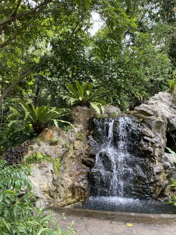 Naturaleza, Cascada, Curso de Agua, Los Recursos de Agua, Cuerpo de Agua. Wallpaper in 1536x2048 Resolution