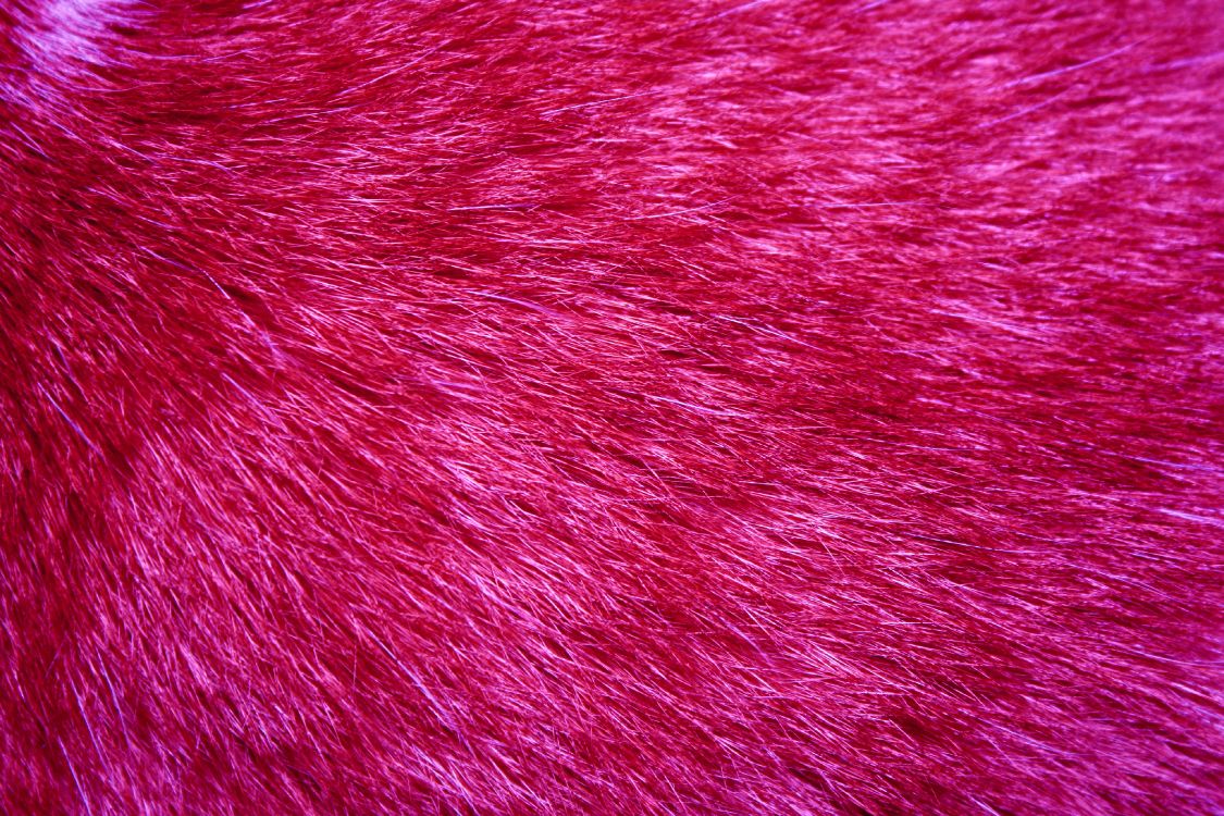 Textil Rojo en Fotografía de Cerca. Wallpaper in 3888x2592 Resolution