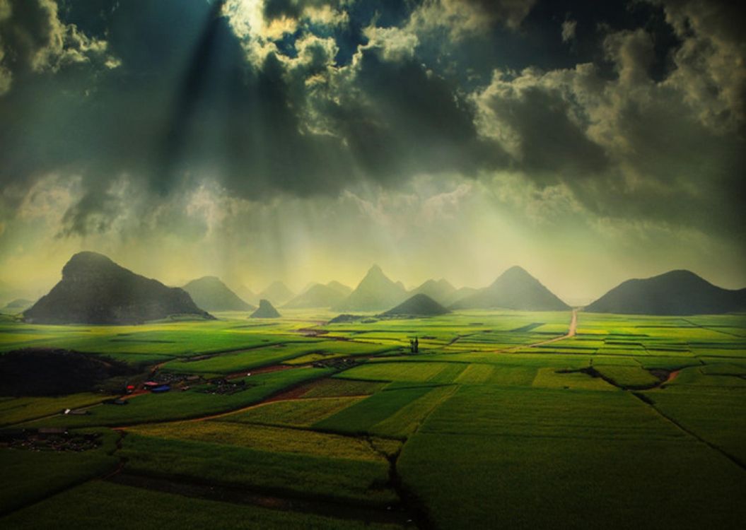 green grass field under blue sky