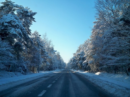 Image snow covered road between trees during daytime