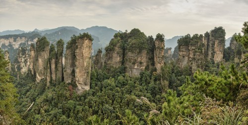 Image green trees near brown rocky mountain under white clouds during daytime