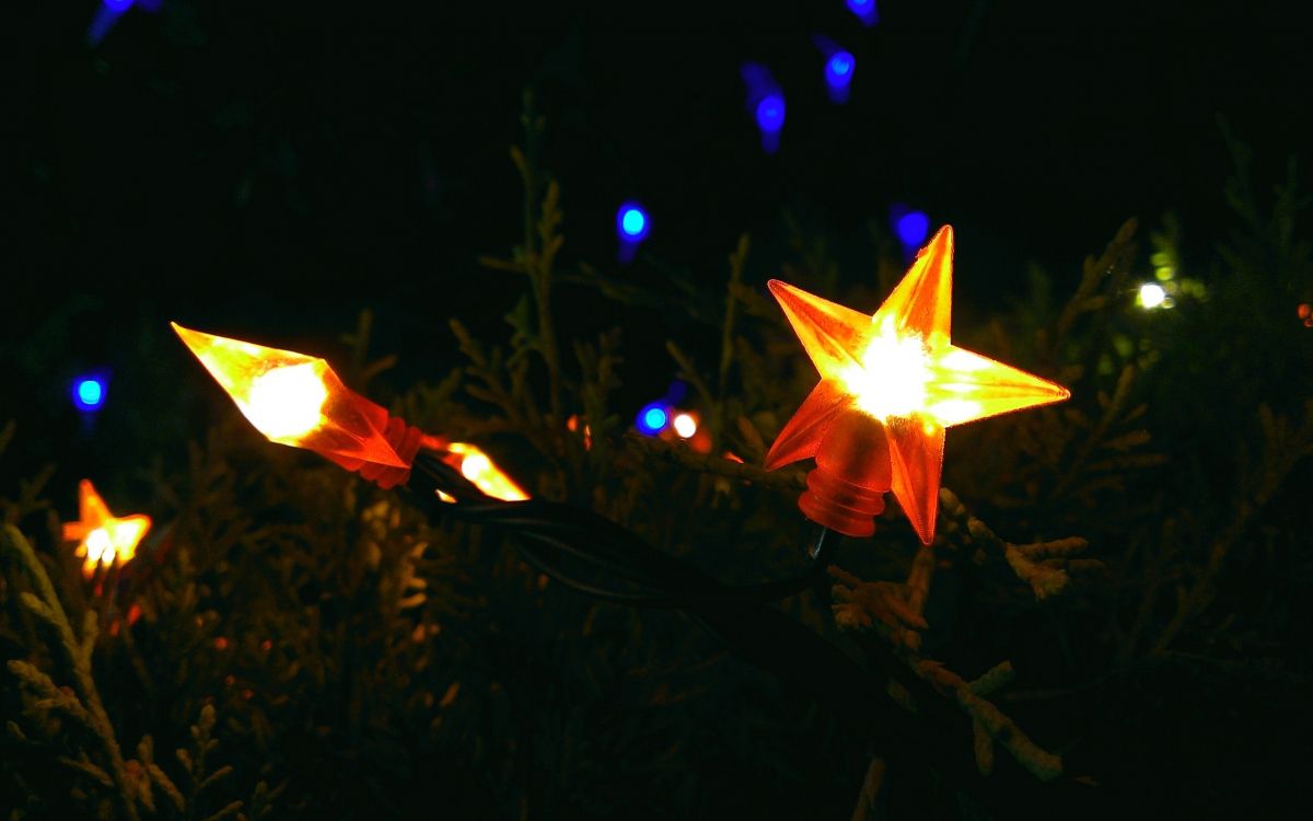 Licht, Nacht, Baum, Weihnachten, Blatt. Wallpaper in 2560x1600 Resolution