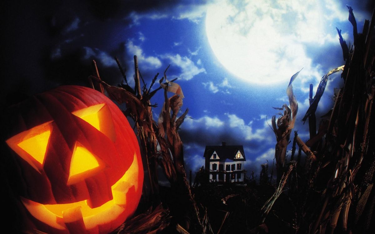 Calabaza, Festival, Halloween, Jack o Lantern, Partie. Wallpaper in 1920x1200 Resolution