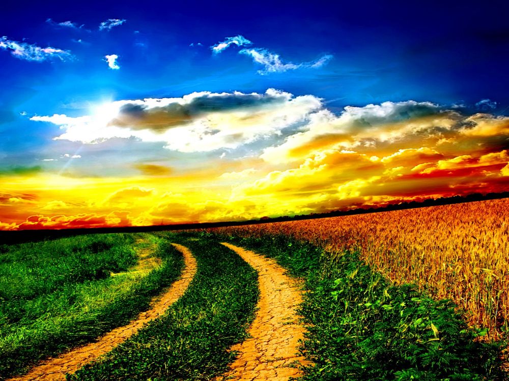 green grass field under blue sky during sunset