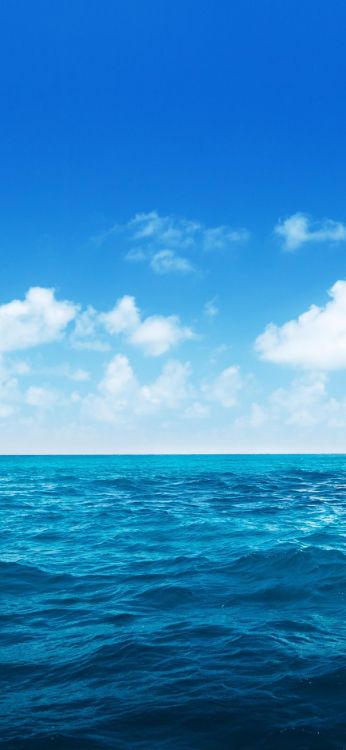 大海, 海洋, 液体, 流体, 积云 壁纸 1299x2813 允许