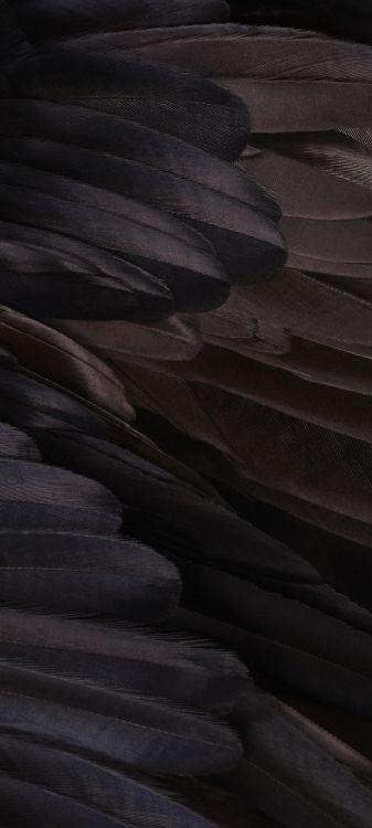 羚羊谷, 谷歌, 智能手机, 谷歌像素XL, 安卓 壁纸 1080x2400 允许