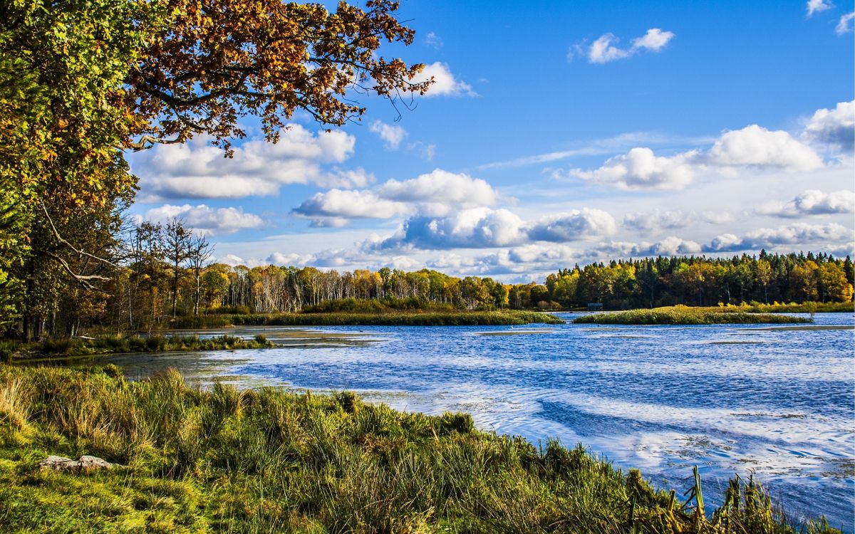Kostenlose Hintergrundbilder Grüne Wiese in Der Nähe Von Gewässern Unter Blauem Himmel Tagsüber