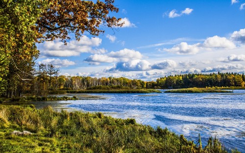 Image green grass field near body of water under blue sky during daytime