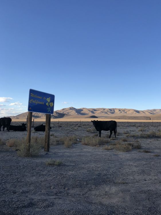 usa, nevada, death valley, death valley national park, landscape