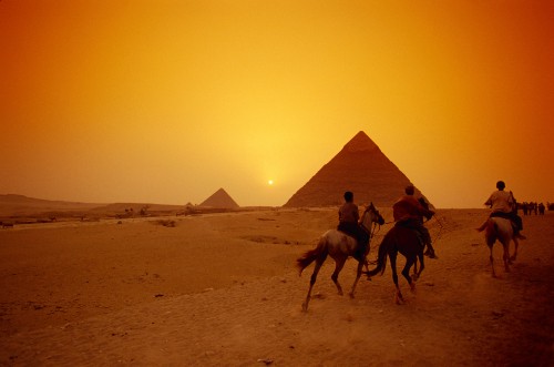 Image three camels on desert during daytime