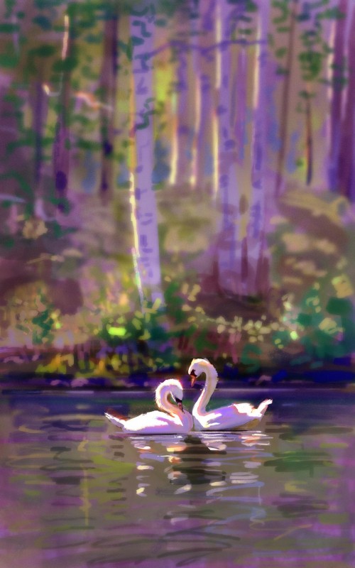Swan Photos Download The BEST Free Swan Stock Photos  HD Images