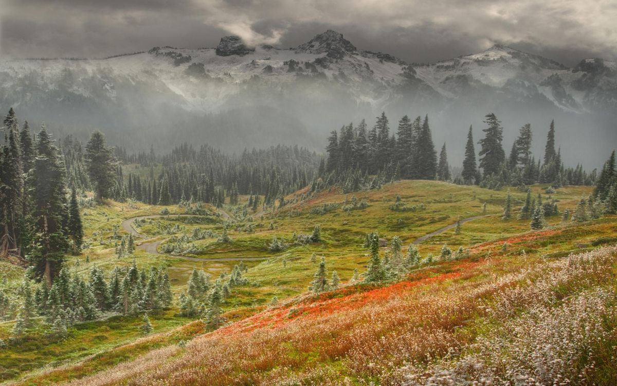 多山的地貌, 高地, 荒野, 苔原, 生态系统 壁纸 2560x1600 允许