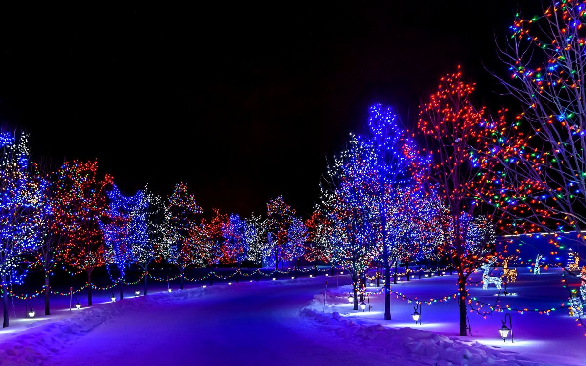 Luces de Navidad, Luz, Azul, Naturaleza, Invierno. Wallpaper in 2880x1800 Resolution