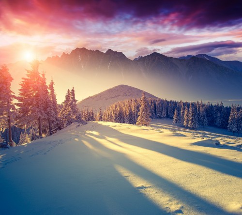 Image snow covered field with pine trees and mountains in the distance