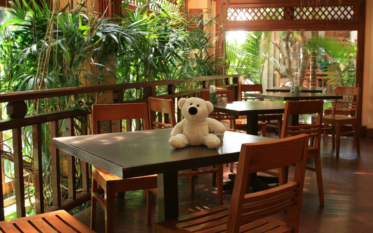 white bear plush toy on brown wooden table