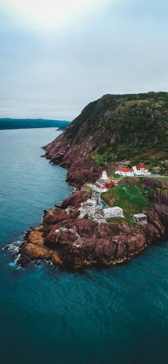 sea, water, mountain, natural landscape, plant