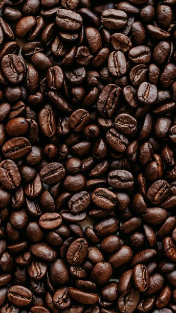 Image cocoa bean, jamaican blue mountain coffee, Coffee, brown, Single-origin coffee