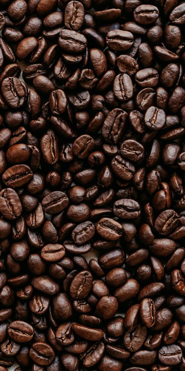 Kakaobohne, Jamaikanischer Blue-mountain-Kaffee, Kaffee, Brown, Single-origin Kaffee. Wallpaper in 1500x3000 Resolution
