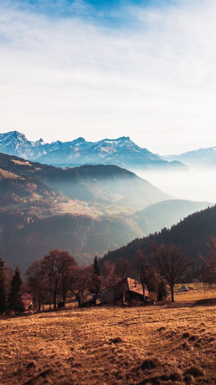 Sommet, Kilonewton, Livre, Vallée, Régiment. Wallpaper in 1440x2560 Resolution