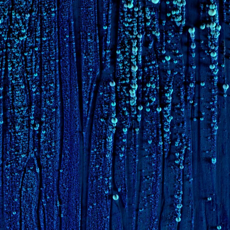 Pintura Abstracta Azul y Blanca. Wallpaper in 2160x2160 Resolution