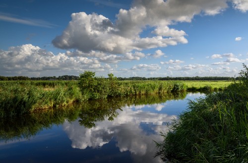 Image green grass field near river under blue and white cloudy sky during daytime