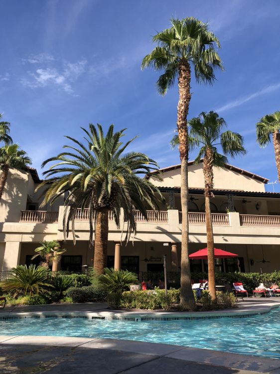 Resort, Piscina, Inmueble, Palmera, Agua. Wallpaper in 1536x2048 Resolution