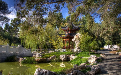 Image brown and black temple surrounded by green trees during daytime