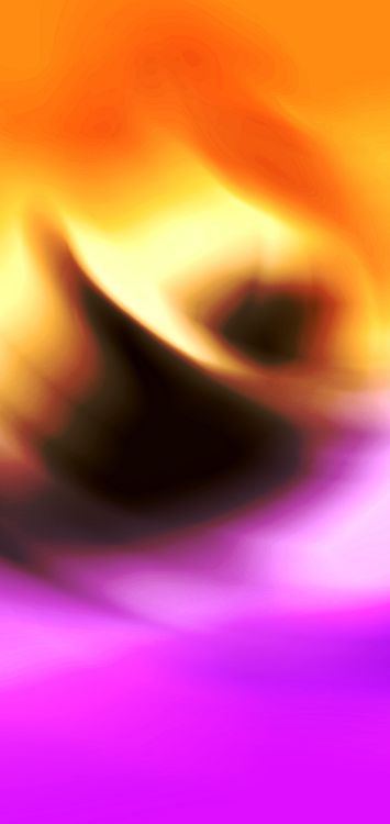 Orange, la Pureté de la Couleur, Purple, Pétale, Violette. Wallpaper in 1440x3040 Resolution