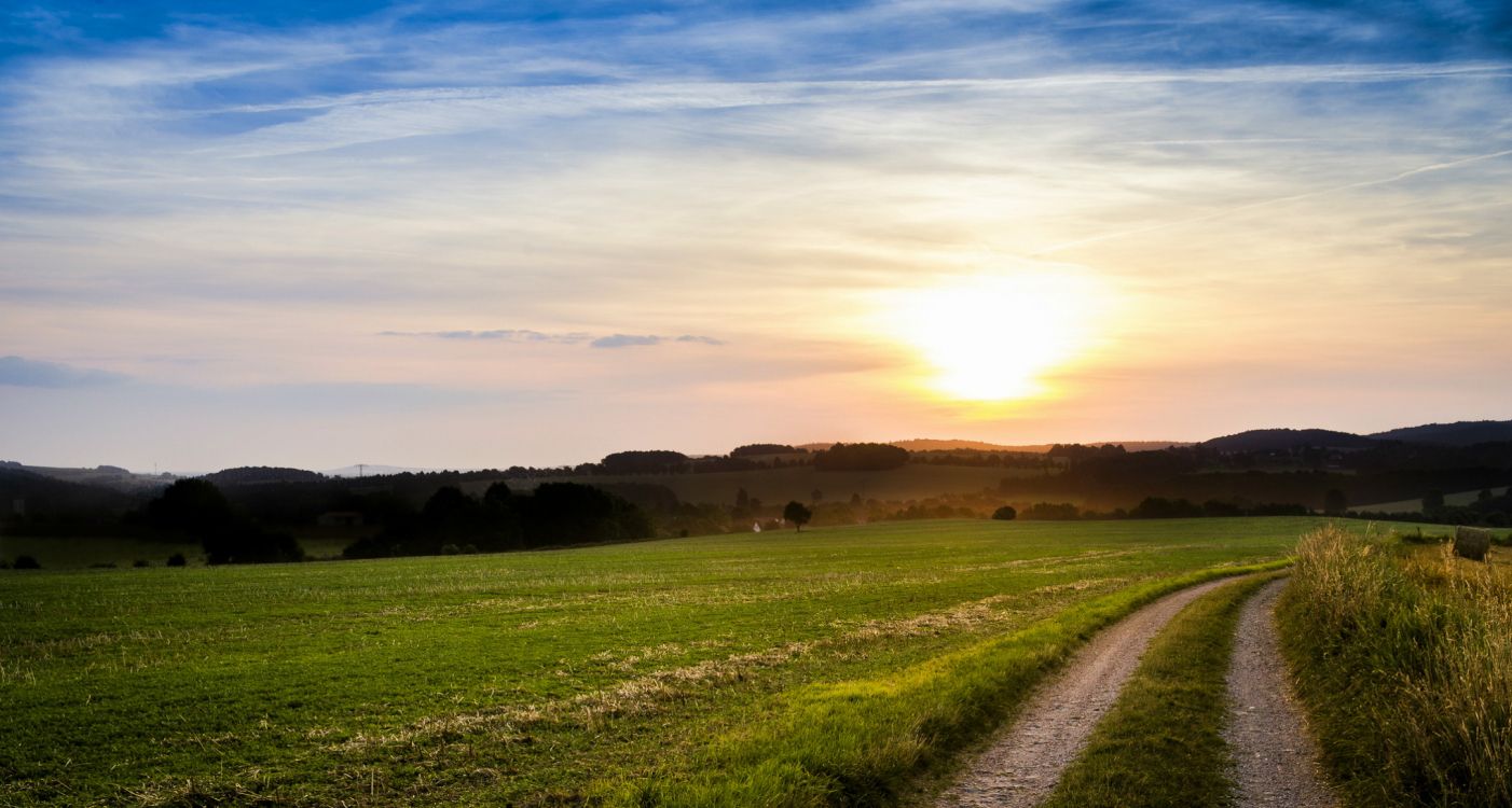 性质, 早上, 草地上, 地平线, 农村地区 壁纸 2038x1090 允许