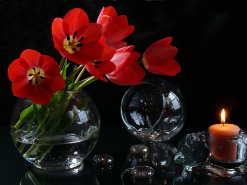 Image red tulips in clear glass vase