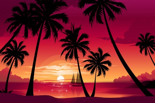 Image silhouette of palm tree during sunset